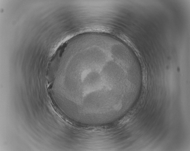 X0000053060434200508081158