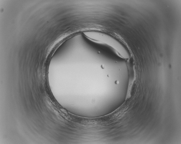 X0000053060435200508081158