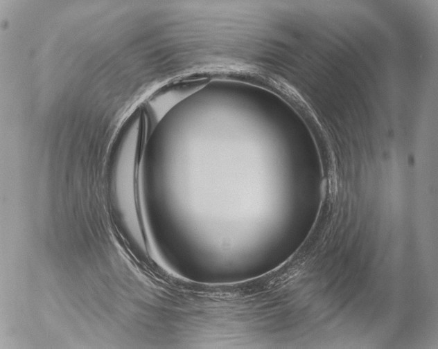 X0000053060436200508081158