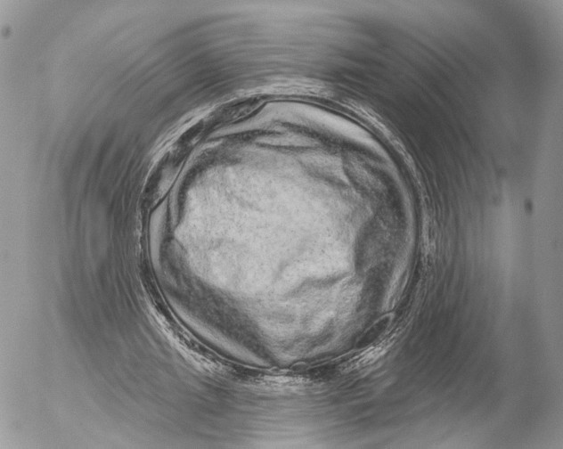 X0000053060437200508081158