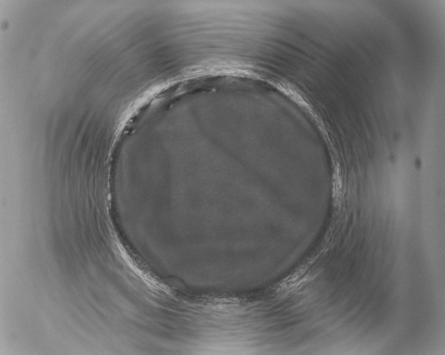 X0000053060438200508081158