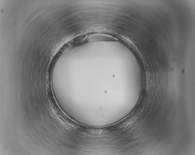 X0000053060439200508081158