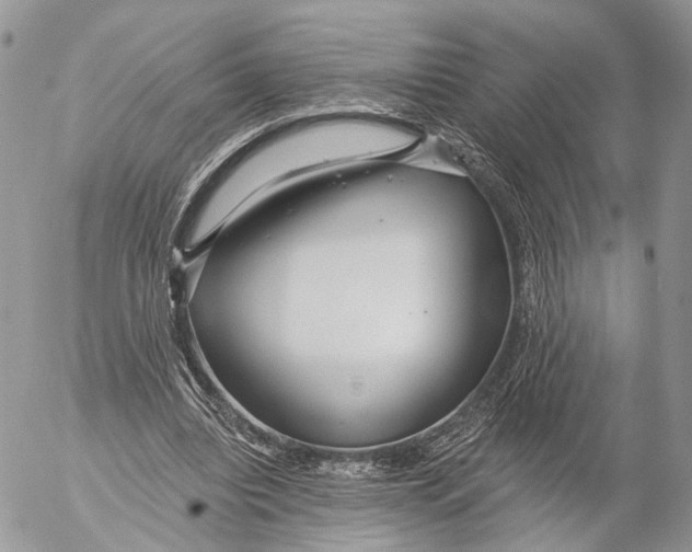 X0000053060440200508081158