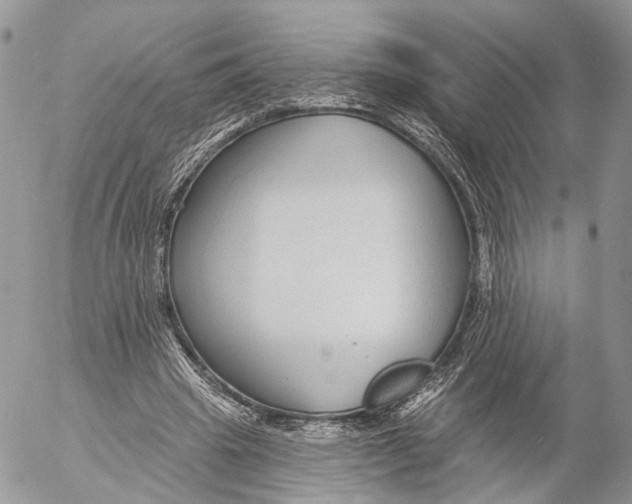 X0000053060441200508081158