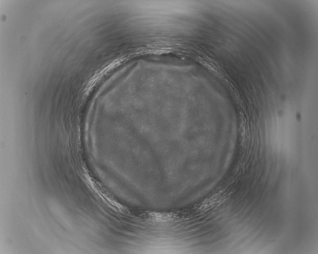 X0000053060442200508081158