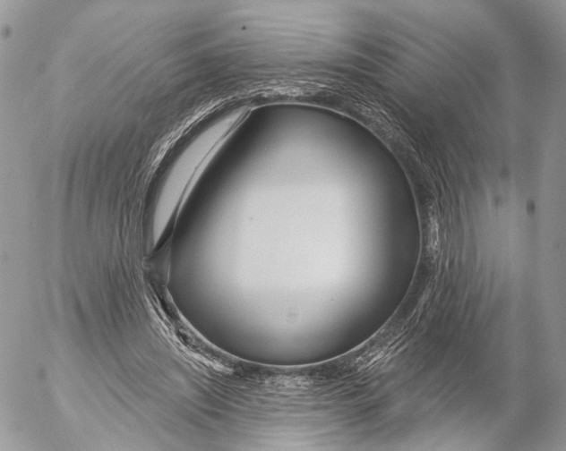 X0000053060444200508081158