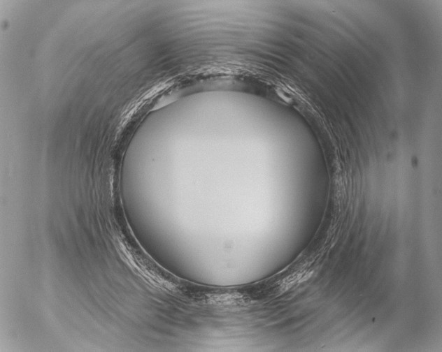 X0000053060446200508081158