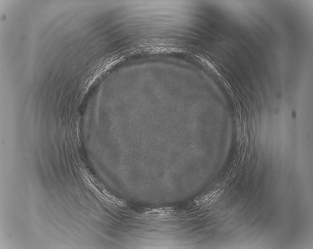 X0000053060447200508081158