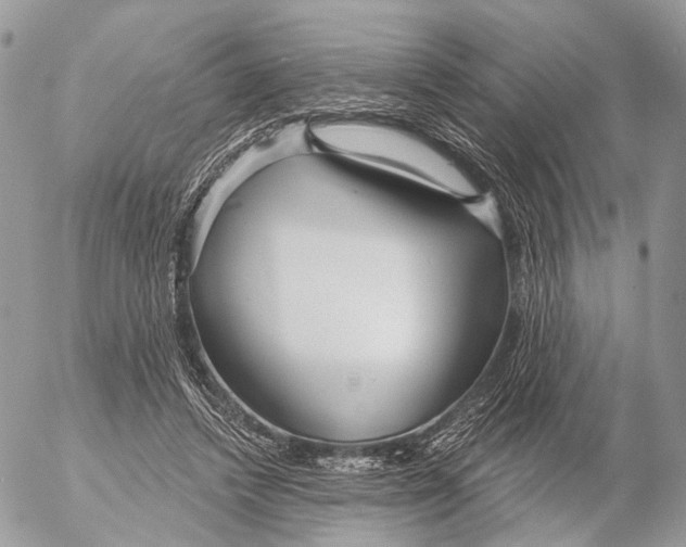 X0000053060448200508081158