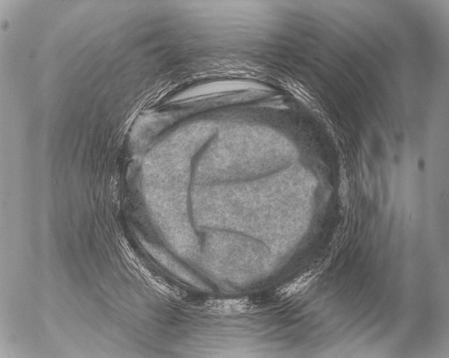 X0000053060449200508081158