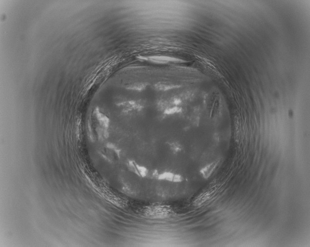 X0000053060451200508081158