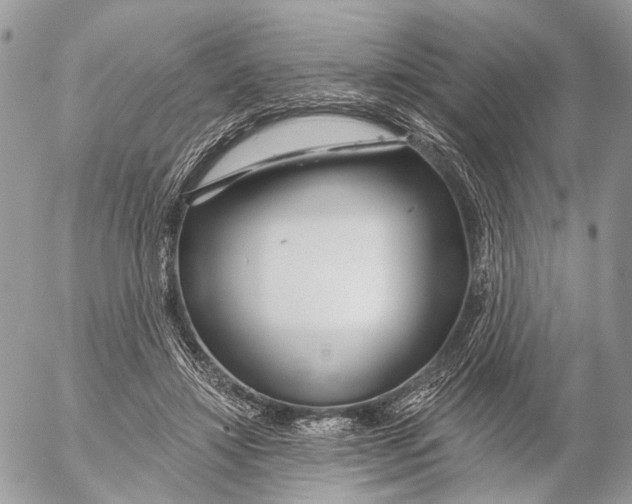 X0000053060452200508081158