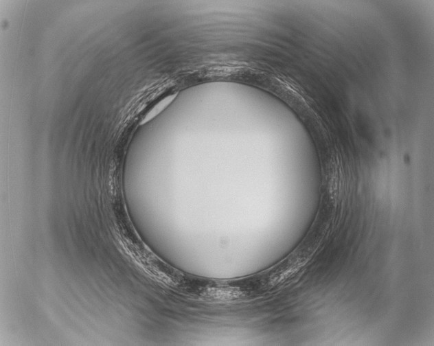 X0000053060455200508081158