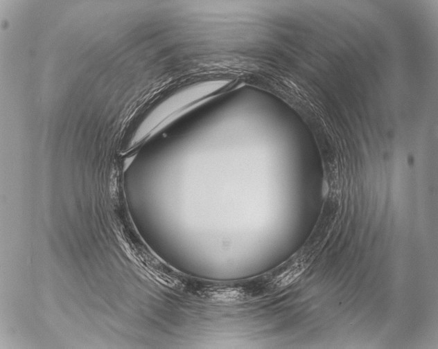 X0000053060456200508081158