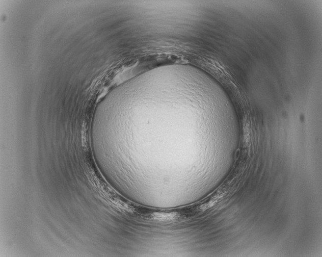 X0000053060457200508081158