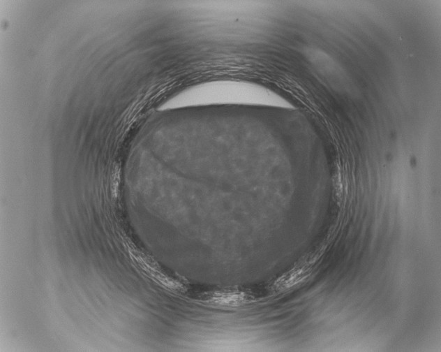 X0000053060458200508081158