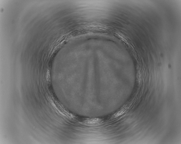 X0000053060459200508081158