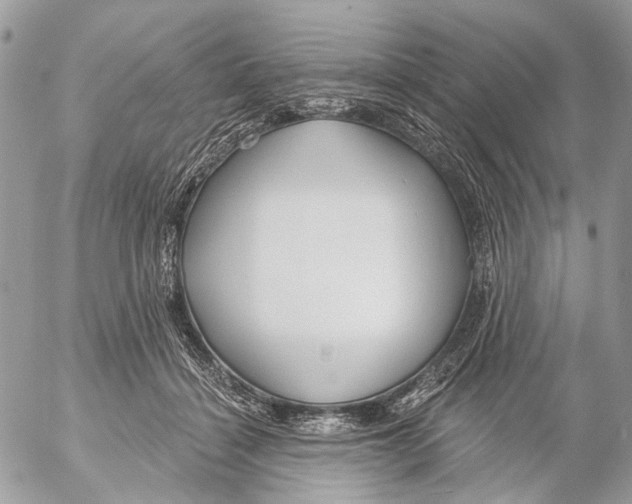 X0000053060460200508081158