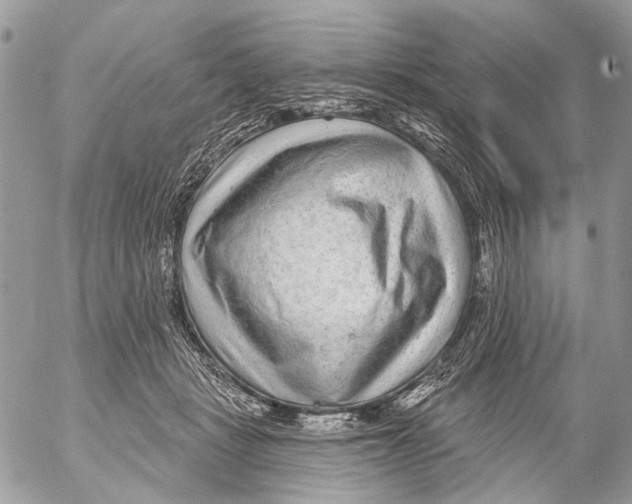 X0000053060461200508081158