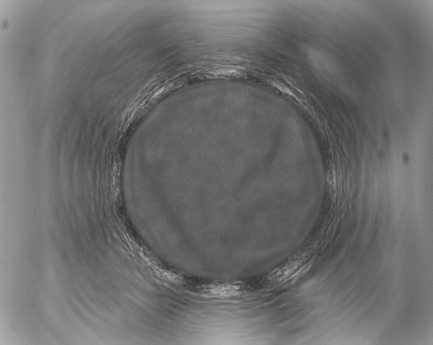 X0000053060462200508081158