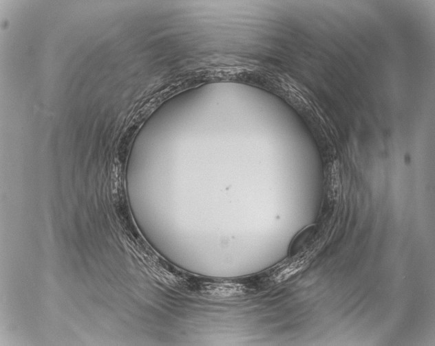 X0000053060463200508081158