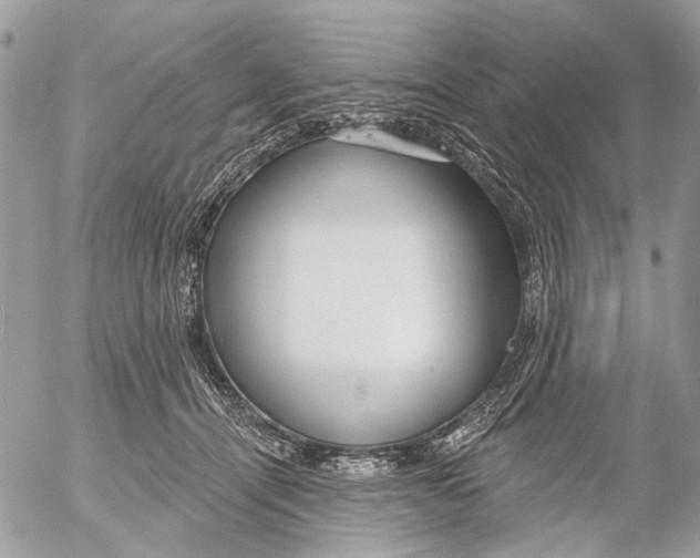 X0000053060464200508081158