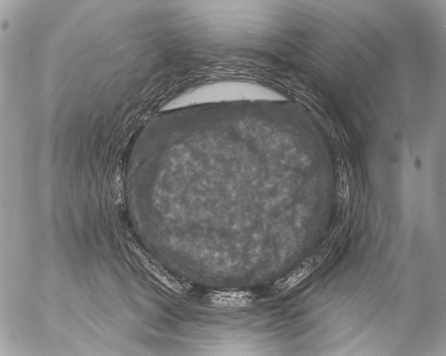 X0000053060465200508081158