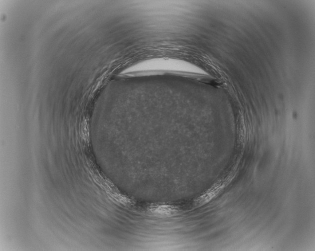 X0000053060467200508081158