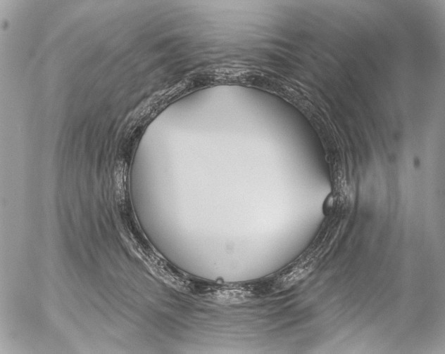 X0000053060468200508081158