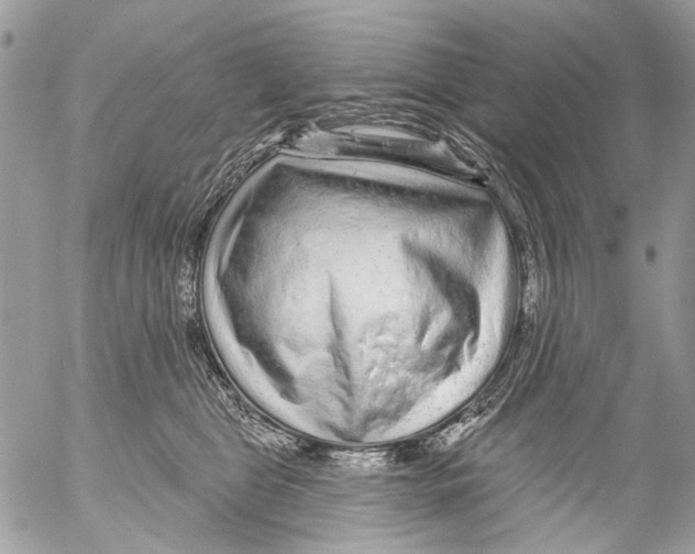 X0000053060469200508081158