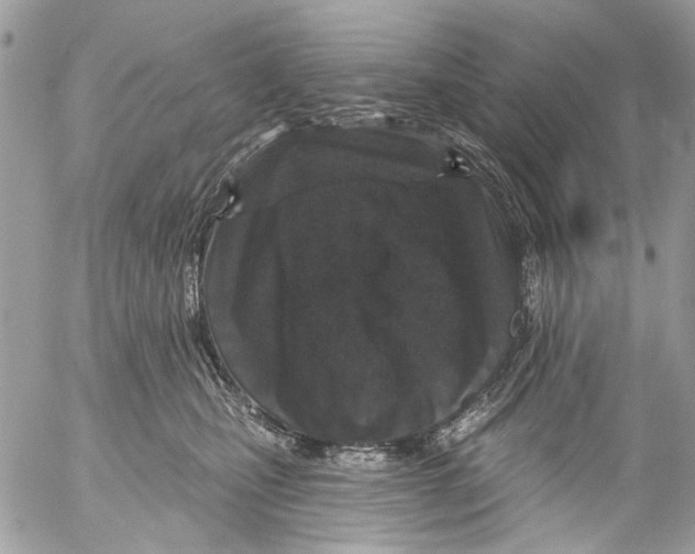 X0000053060471200508081159