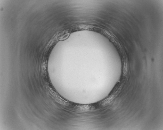 X0000053060473200508081159