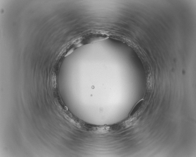 X0000053060474200508081159