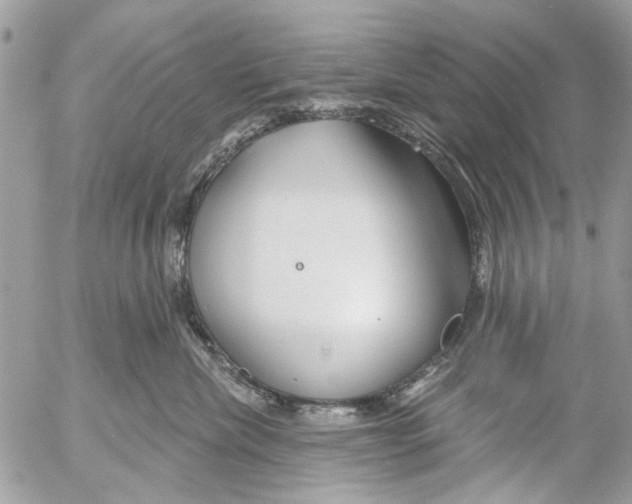 X0000053060476200508081159