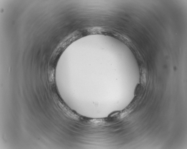 X0000053060477200508081159