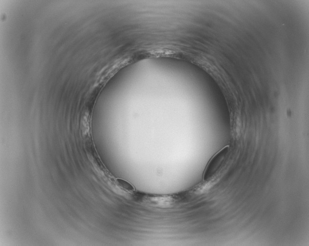 X0000053060478200508081159