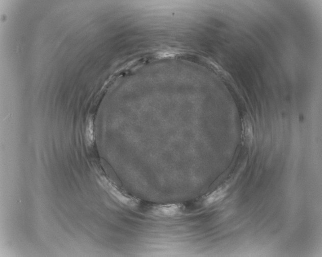 X0000053060479200508081159