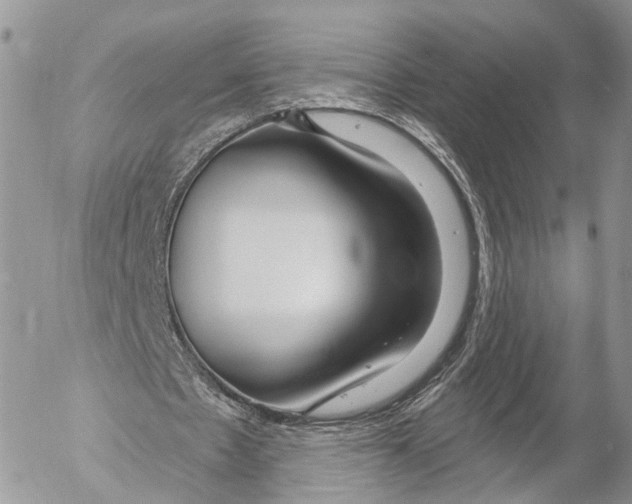 X0000053060481200508081158