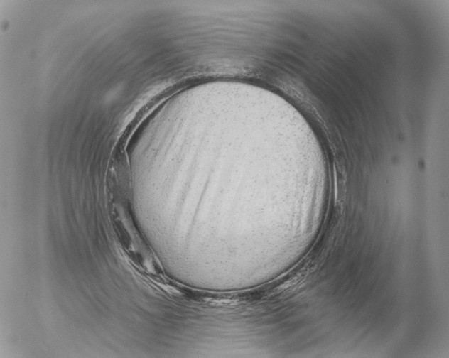 X0000053060483200508081158