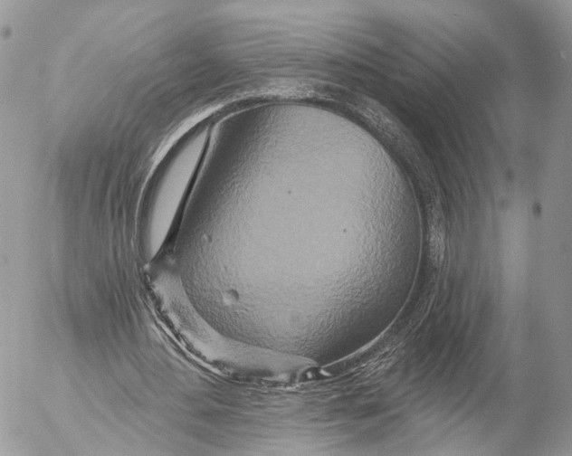 X0000053060484200508081158