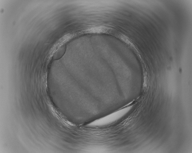 X0000053060486200508081158