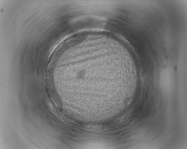 X0000053060487200508081158