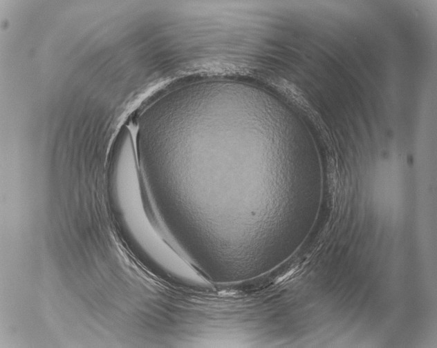 X0000053060488200508081158