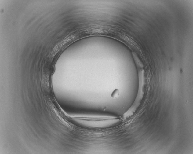 X0000053060489200508081158