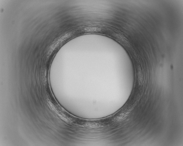 X0000053060490200508081158