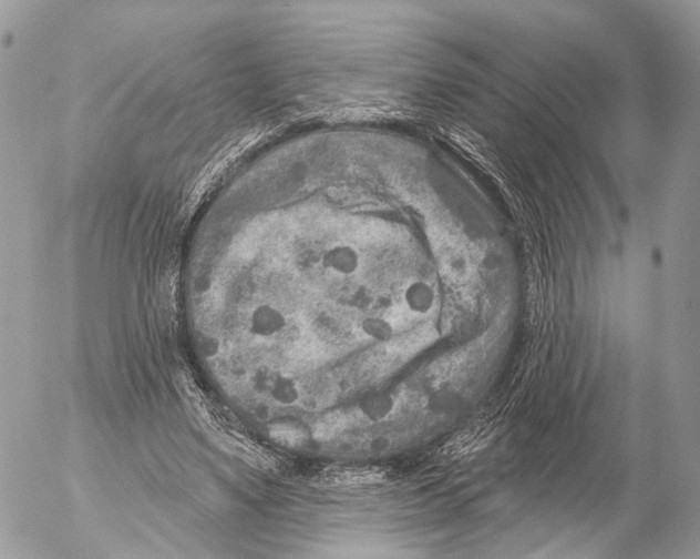 X0000053060491200508081158