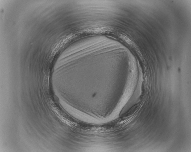 X0000053060493200508081158