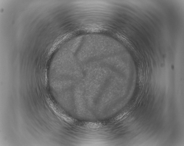 X0000053060494200508081158