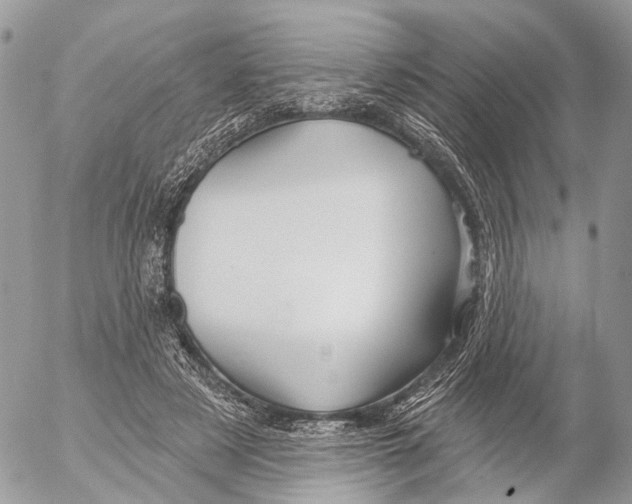 X0000053060497200508081158