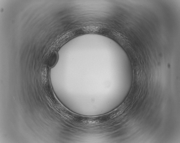 X0000053060498200508081158